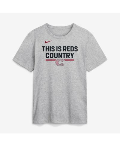 Nike Men's Heather Gray Cincinnati Reds 2026 City Connect Stacked Team Phrase T-Shirt