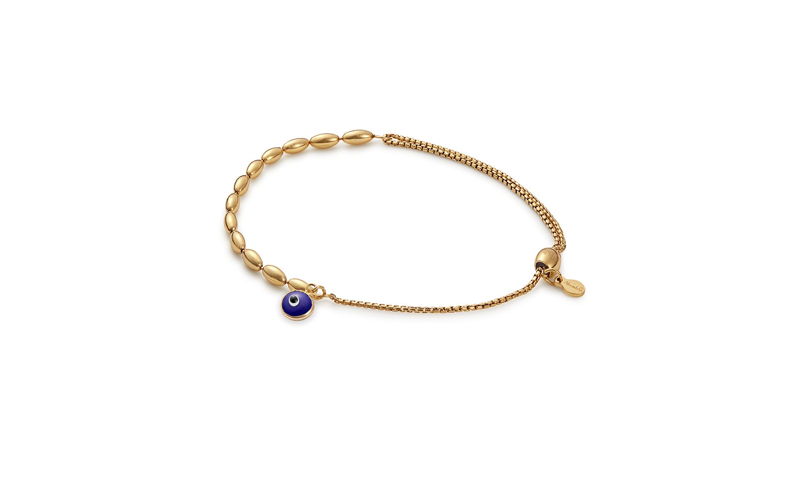 Alex and Ani Evil Eye Pull Chain Bracelet