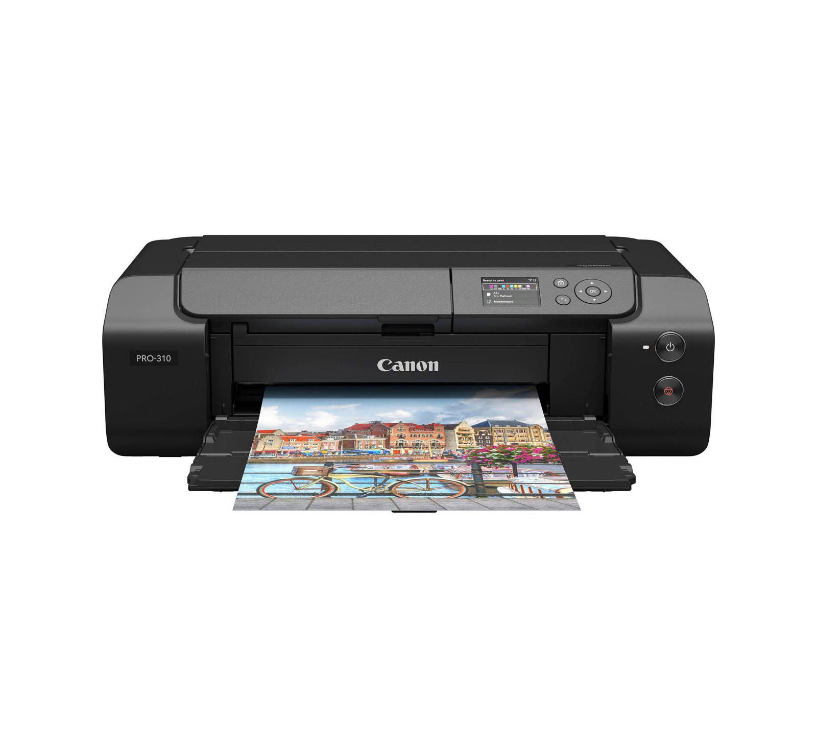 Canon imagePROGRAF PRO-310 13" Профессиональный беспроводной струйный фотопринтер, комплект с чернилами Lucia PRO II PFI-5100 10-цветные пигментные чернила, 50x LU-101