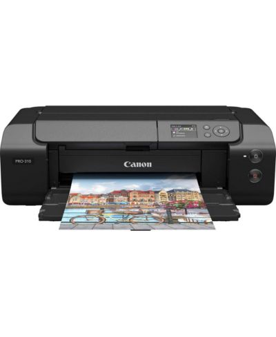 Canon imagePROGRAF PRO-310 13" Профессиональный беспроводной струйный фотопринтер, комплект с чернилами Lucia PRO II PFI-5100 10-цветные пигментные чернила, 50x LU-101
