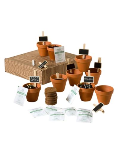 Набор для выращивания Apothecary Garden от Uncommon Goods