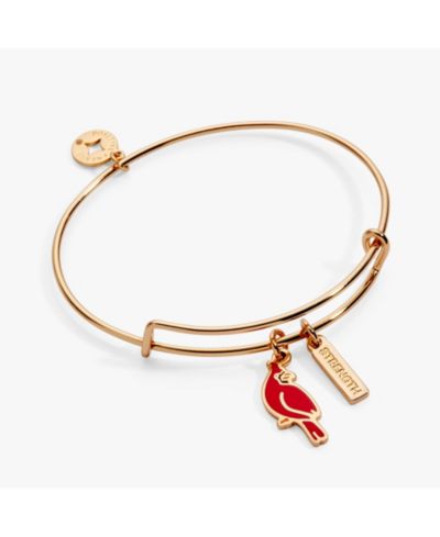 Браслет-бэнгл Alex and Ani Strength' Cardinal Duo Charm