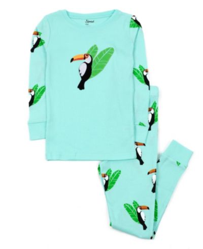 Toucan bird aqua blue