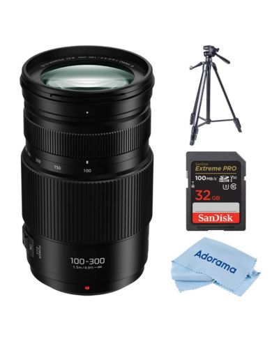Panasonic LUMIX G II Vario 100-300mm f/4.0-5.6 объектив, комплект с Slik Sprint Pro II Aluminum