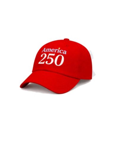 Bits & Bows Детская бейсболка America 250th Bow для девочек