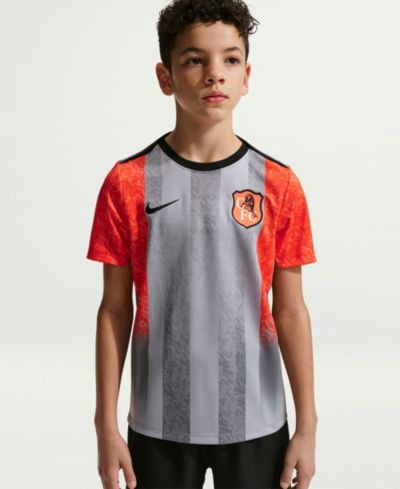 Nike Big Boys and Girls Gray Chelsea 2025/26 Academy Pro Pre-Match Top