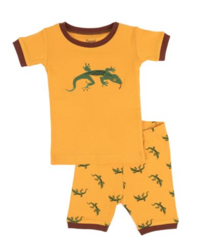 Lizard orange