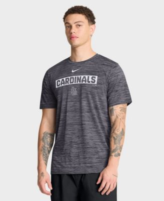 Nike Men's Black St. Louis Cardinals Velocity Dri-FIT T-Shirt