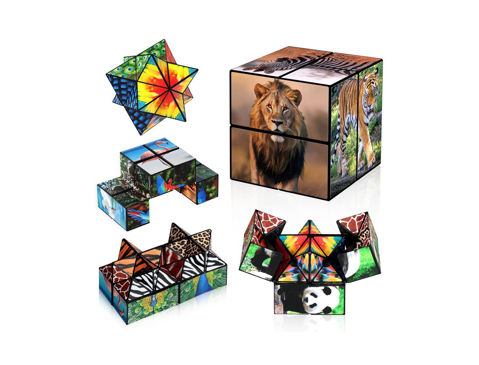 Bruce & Shark 2-in-1 Animal Theme Fidget Cube, 2-Piece Puzzle, Ages 8+