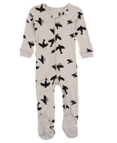 Bird light grey