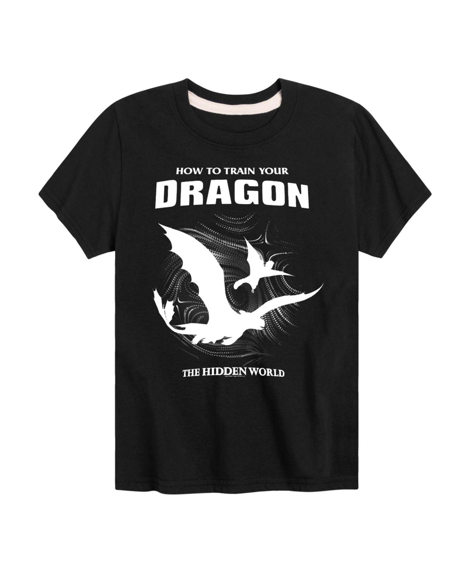 Футболка How to Train Your Dragon с коротким рукавом для мальчиков