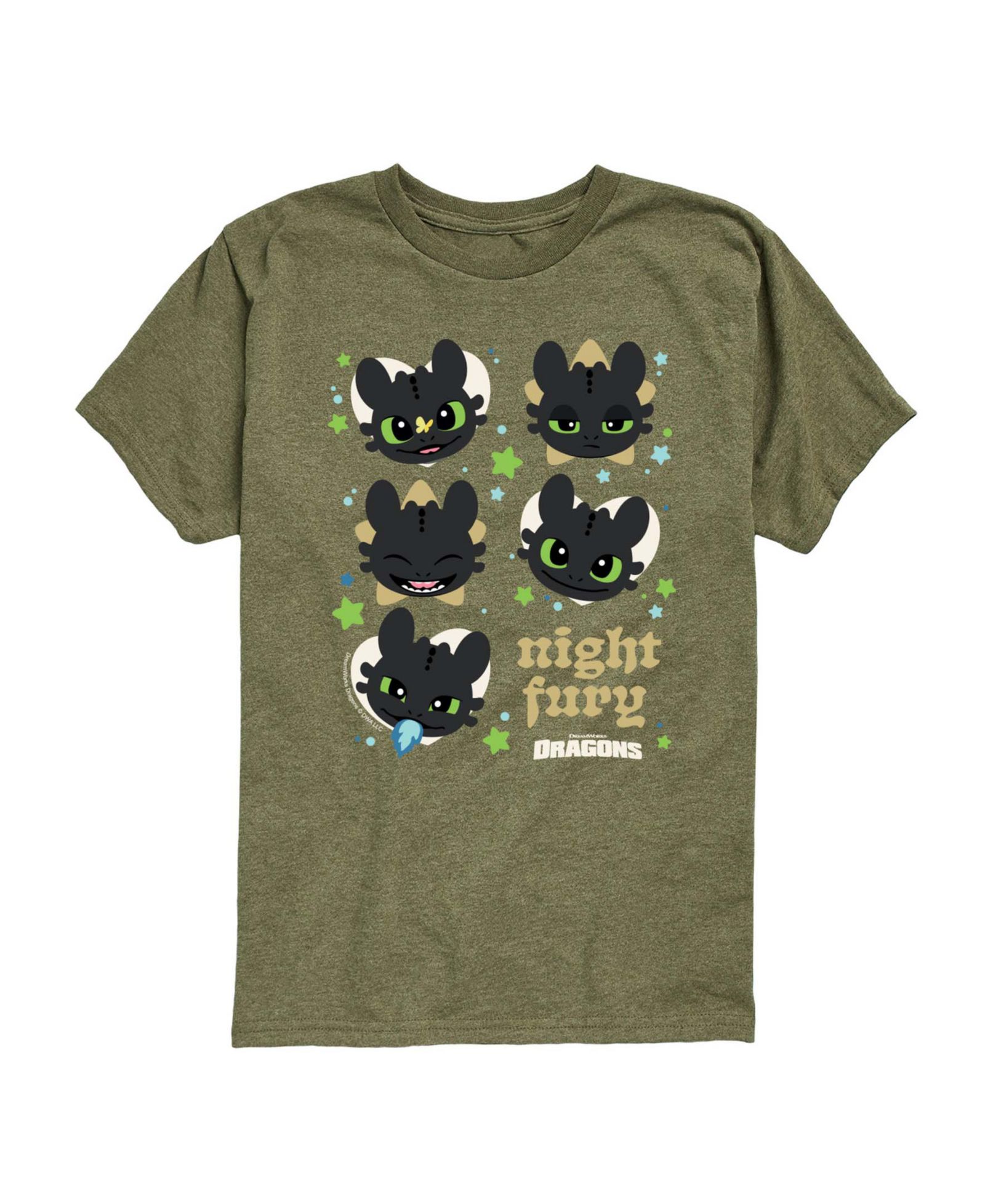 How to Train Your Dragon детская футболка с коротким рукавом 2T-5T