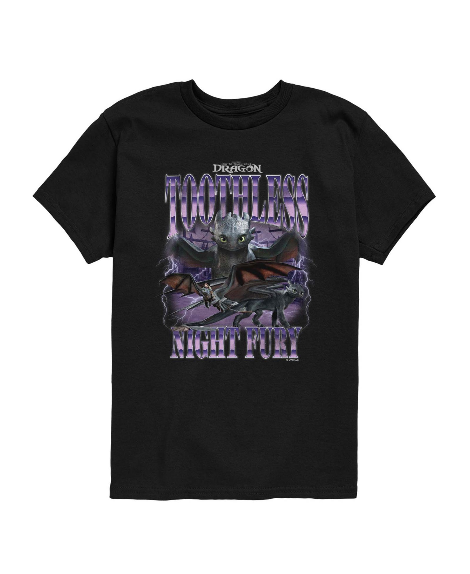 Детская футболка How to Train Your Dragon Boys' 8-20 Short-Sleeve T-Shirt
