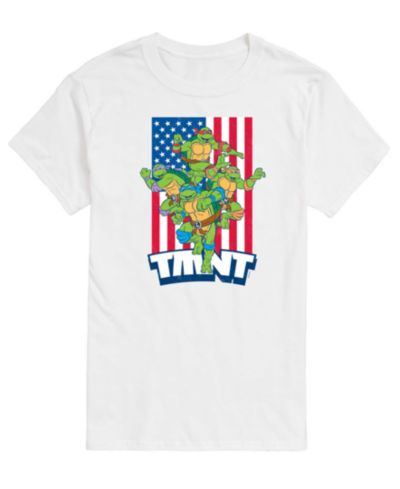 Мужская футболка AIRWAVES Teenage Mutant Ninja Turtles Flag Short-Sleeve Graphic