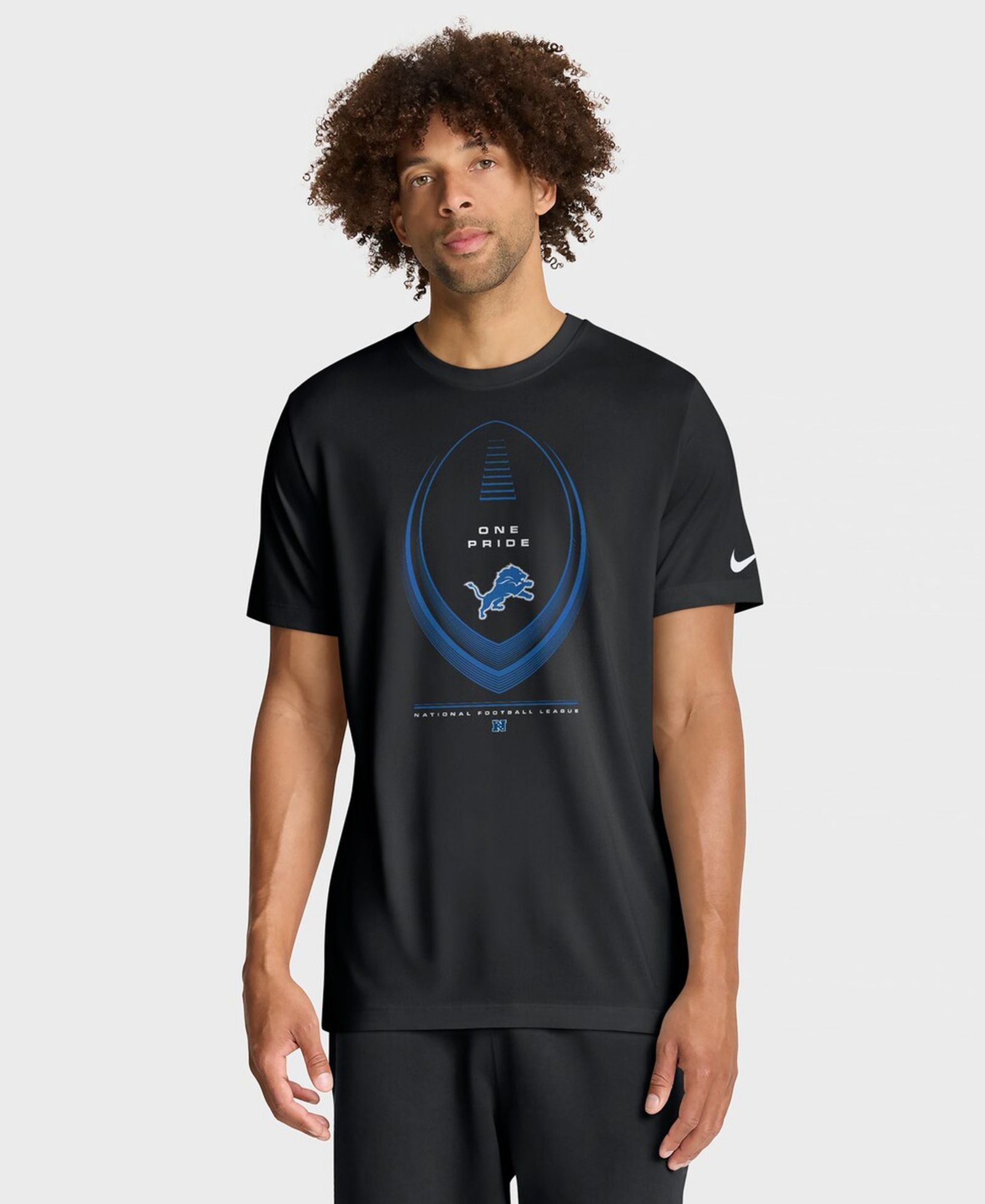 Мужская футболка Nike Detroit Lions Legend Icon Dri-FIT