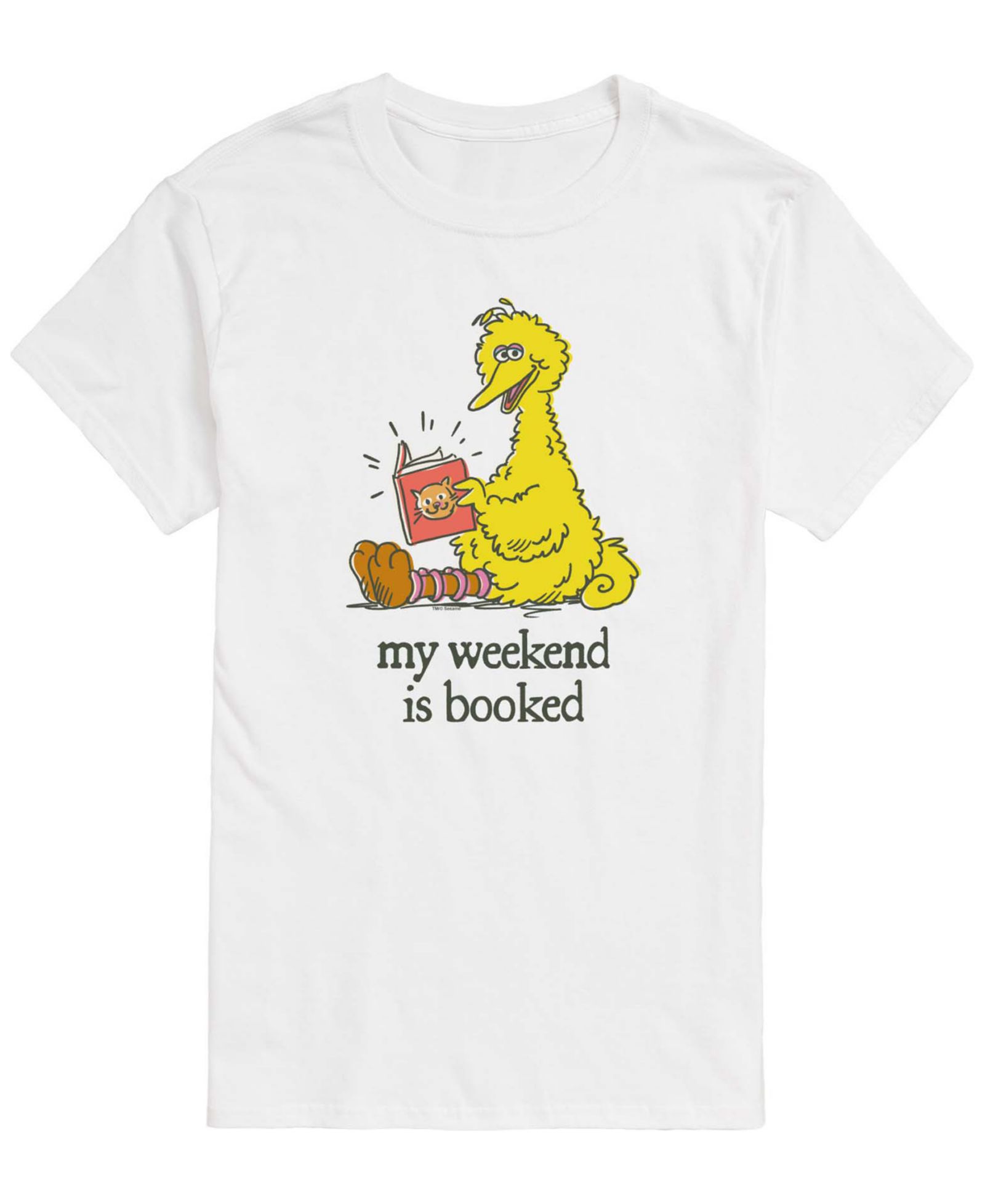 AIRWAVES Men's Sesame Street Weekend Is Booked Short-Sleeve Graphic T-Shirt