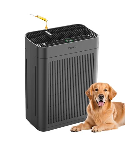 Air Purifiers, Large Room Up to 3000 Sq Ft,with Washable Filters, H13 HEPA, Dual-Sided Air Intake, Quite