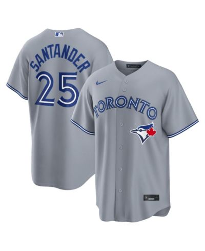 Nike Мужской Anthony Santander Gray Toronto Blue Jays Road Replica Джерси
