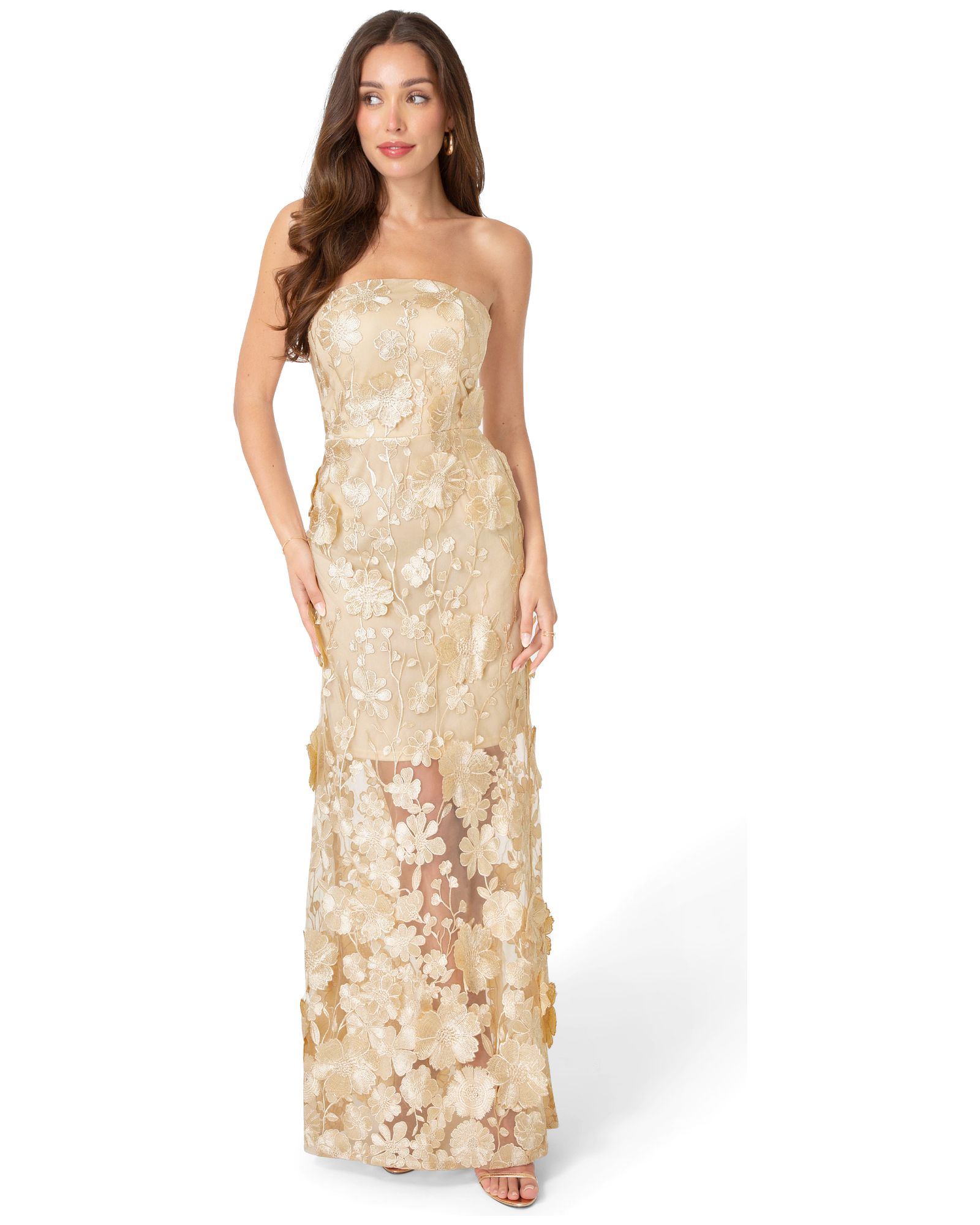 Bebe Women's Strapless Embroidery Maxi Dress