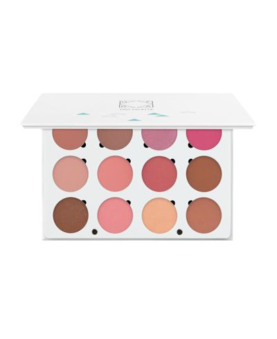 OFRA Cosmetics Pro Palette Blush