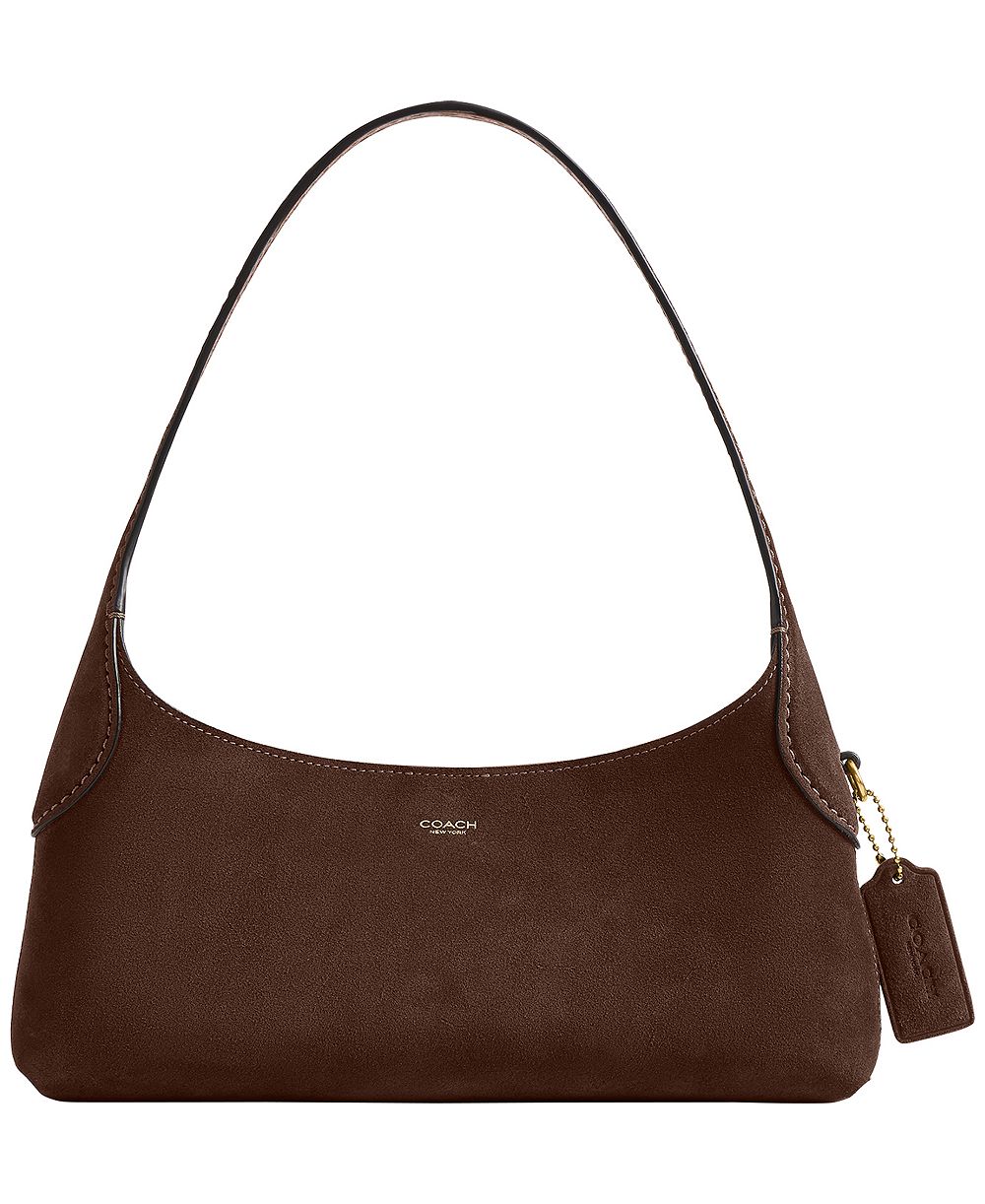 COACH Brooklyn Small Suede Shoulder Bag 26