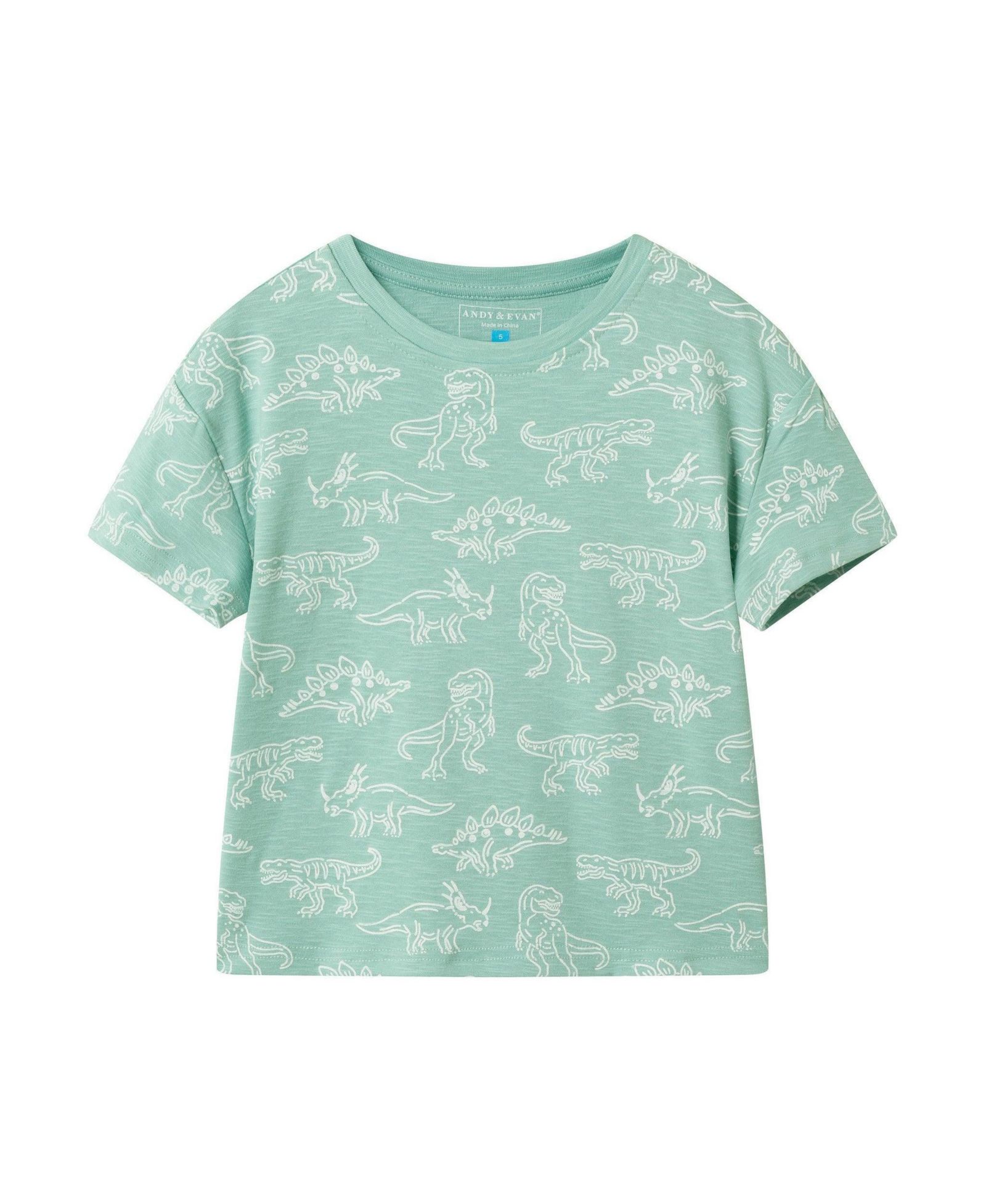 Andy and Evan Little Boys 5-6 Allover Dino Graphic Tee