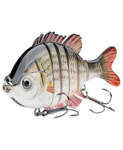 Carp