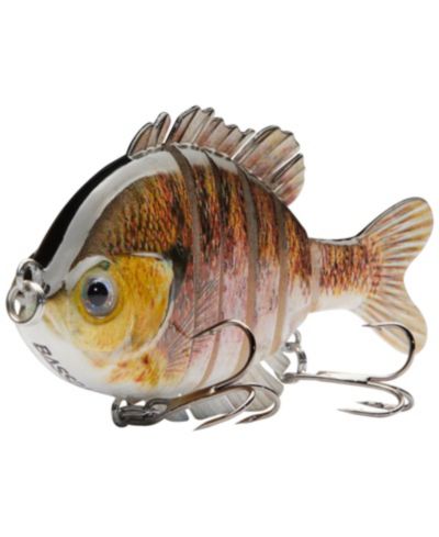 Pink bluegill