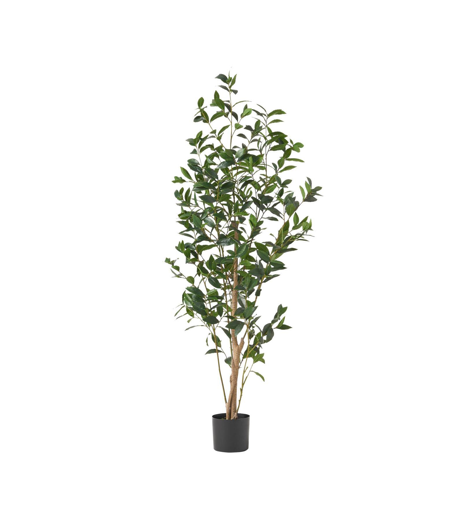 Streamdale Furniture Artificial Plant - 64'' Tall Pre-Potted Easy Care