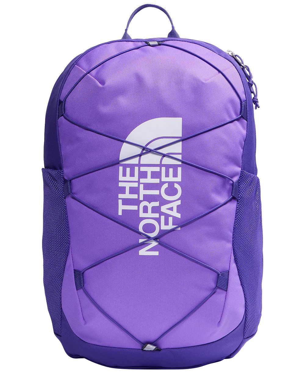 Детский рюкзак The North Face Youth Court Jester