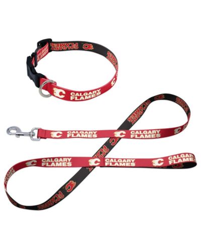 Wincraft Calgary Flames Pet Leash and Collar Set