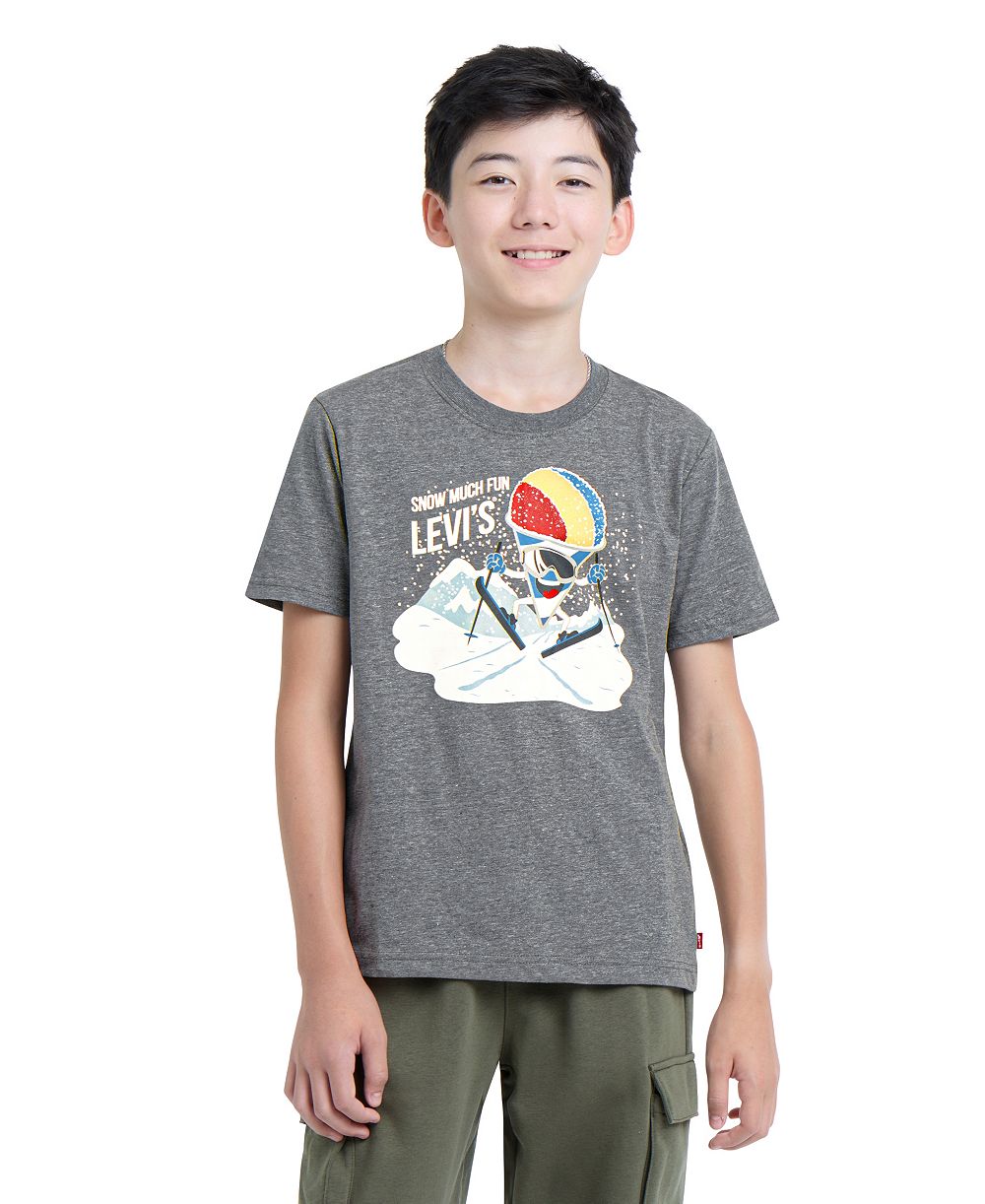 Levi's Boys' 8-20 Graphic-Heathered Skiing Snow Cone T-Shirt