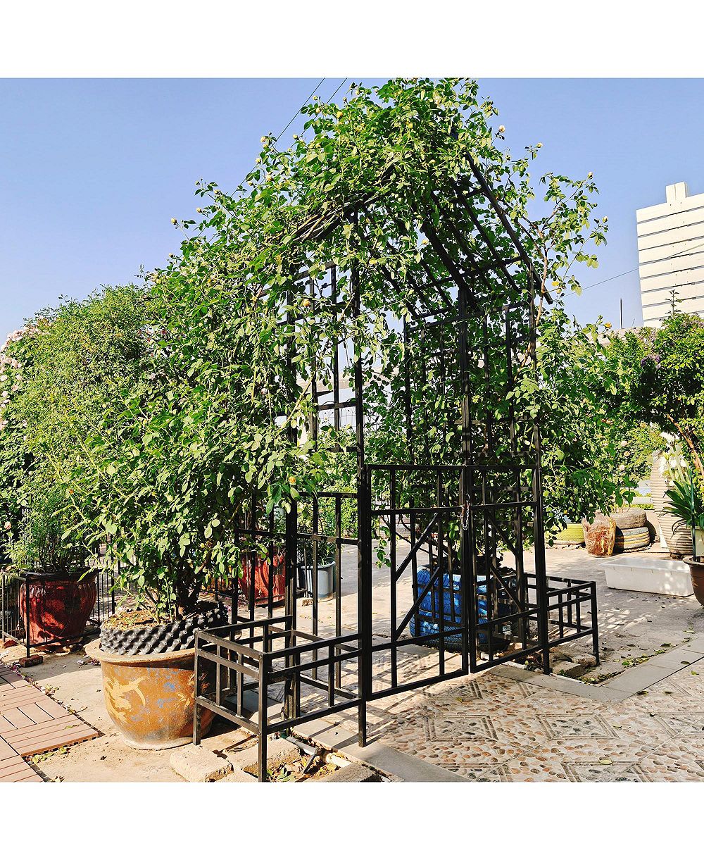 Clihome Metal Garden Arch with Gate with planter W80.71H97.24 Climbing Plants Support Rose Arch Outdoor