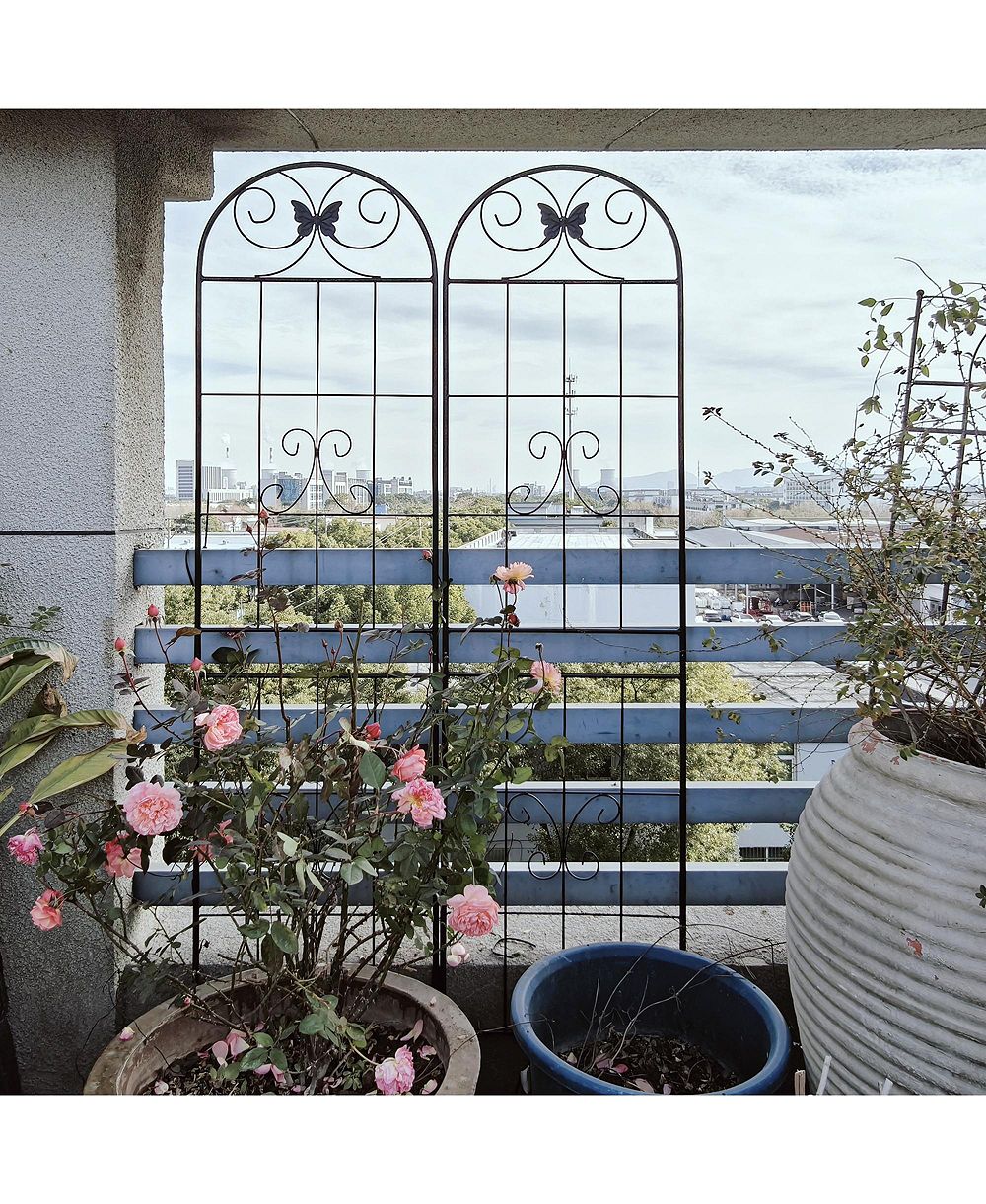 Clihome Metal Garden Trellis 71" x 19.7" Rustproof Trellis for Climbing Plants Outdoor Flower Support