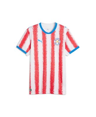 Puma Мужская джерси Puma Paraguay National Team 2026 Home Replica White