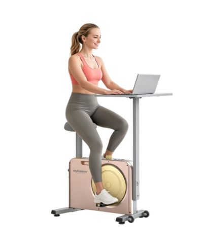 HARISON 2-in-1 Desk Bike with Removable Desktop, Muti-functional Exercise Bike for Home & office (HRM-B15G)
