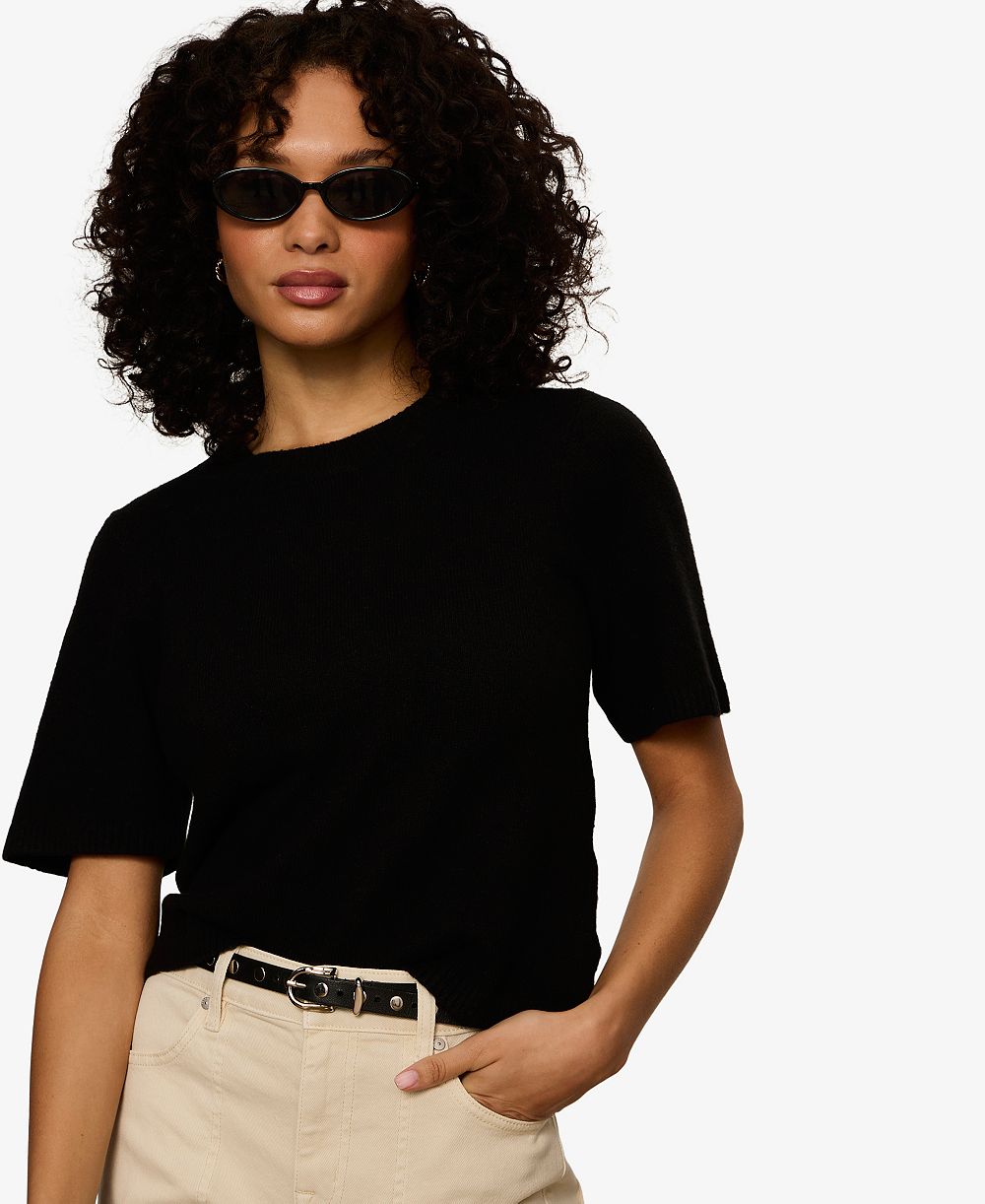 Sanctuary Petite Short-Sleeve Crewneck Sweater