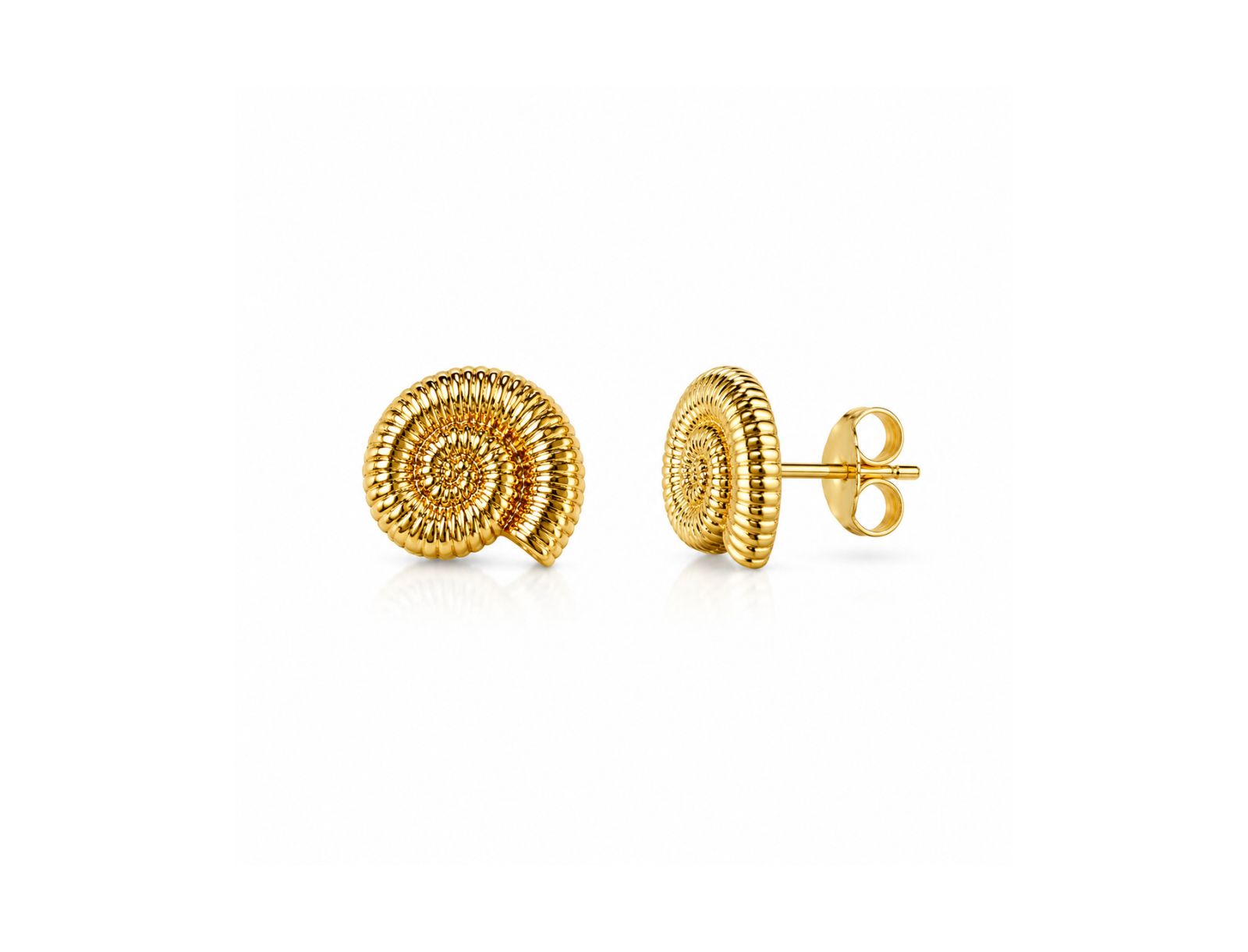 Dloria Golden Tide Shell Stud Earrings
