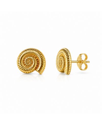 Dloria Golden Tide Shell Stud Earrings