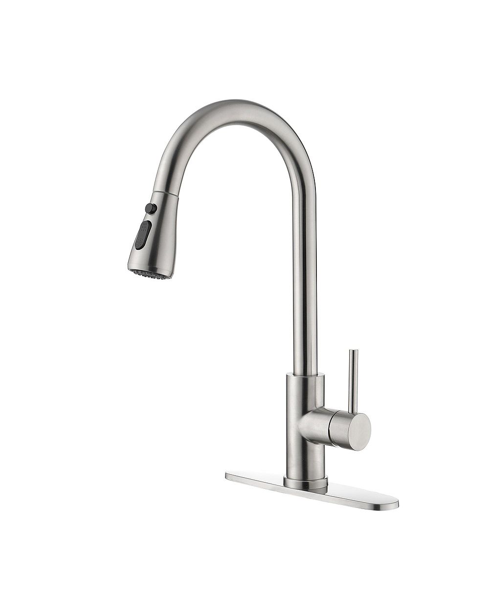 PHYING Single Handle Kitchen Sink Faucet with Pull Out Sprayer