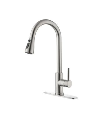 PHYING Single Handle Kitchen Sink Faucet with Pull Out Sprayer