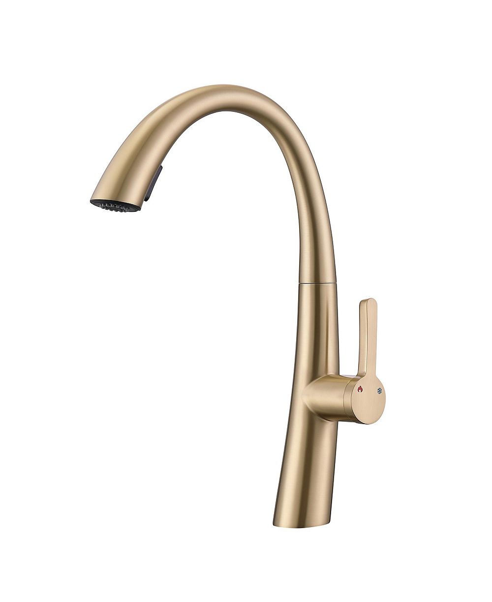 PHYING Single Handle Stainless Steel Pull Out Kitchen Faucet