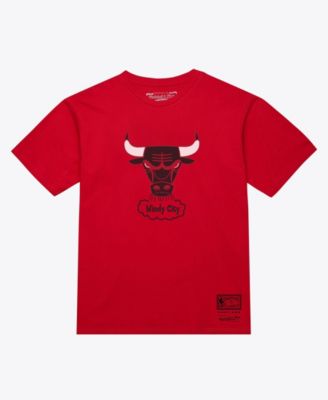 Mitchell & Ness Men's and Women's Red Chicago Bulls Hardwood Classics Arch T-Shirt
