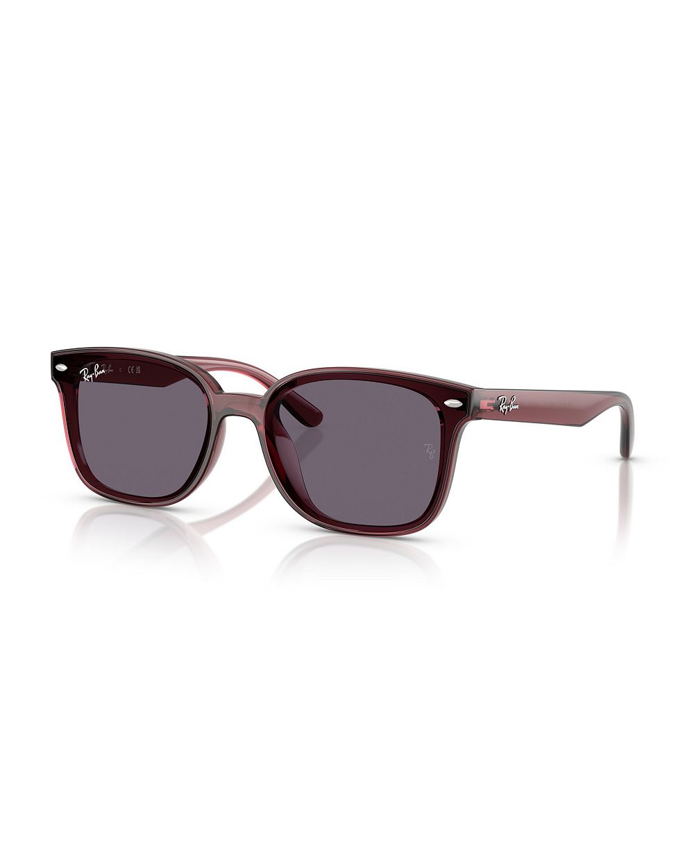 Унисекс круглые солнцезащитные очки Ray-Ban RB4461D