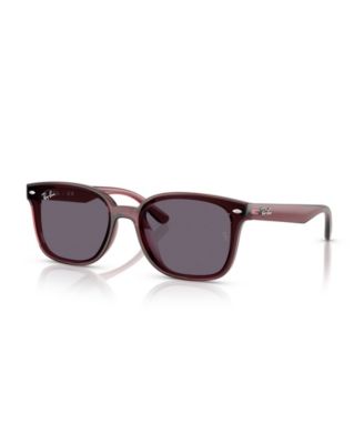 Унисекс круглые солнцезащитные очки Ray-Ban RB4461D
