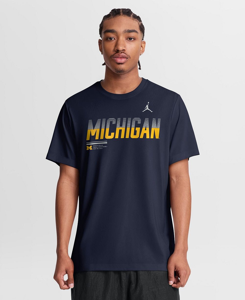 Мужская футболка Jordan Michigan Wolverines Sideline Legend Dri-FIT