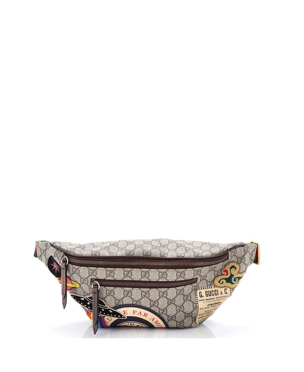 Сумка на пояс Pre-Owned Gucci Courrier Zip GG Coated Canvas с аппликацией