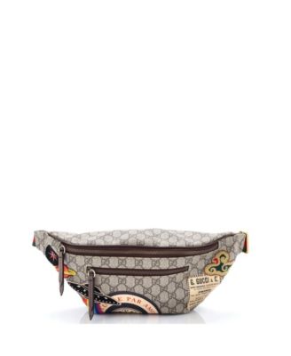 Сумка на пояс Pre-Owned Gucci Courrier Zip GG Coated Canvas с аппликацией