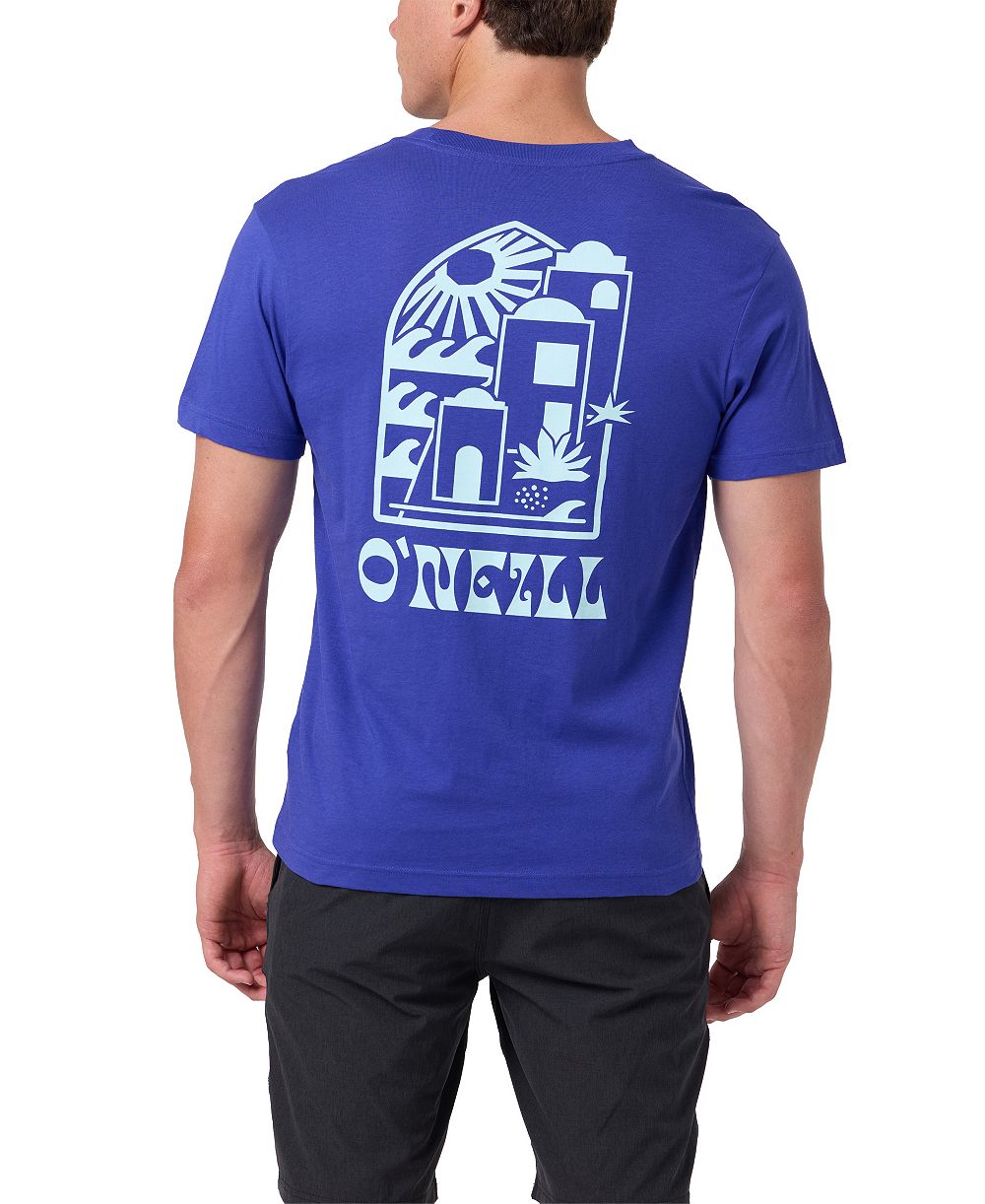 Мужская футболка O'Neill Regular-Fit Graphic
