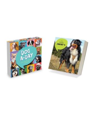 TF Publishing Paper Goods 2027 Dog A Day Daily Desktop Calendar